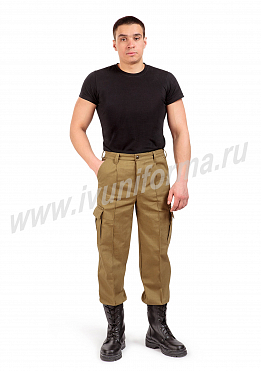 Брюки мужские арт. ОР-07-140-ПАЛ